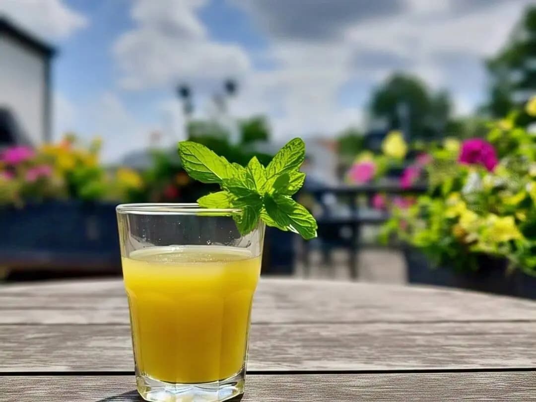 Bebidas